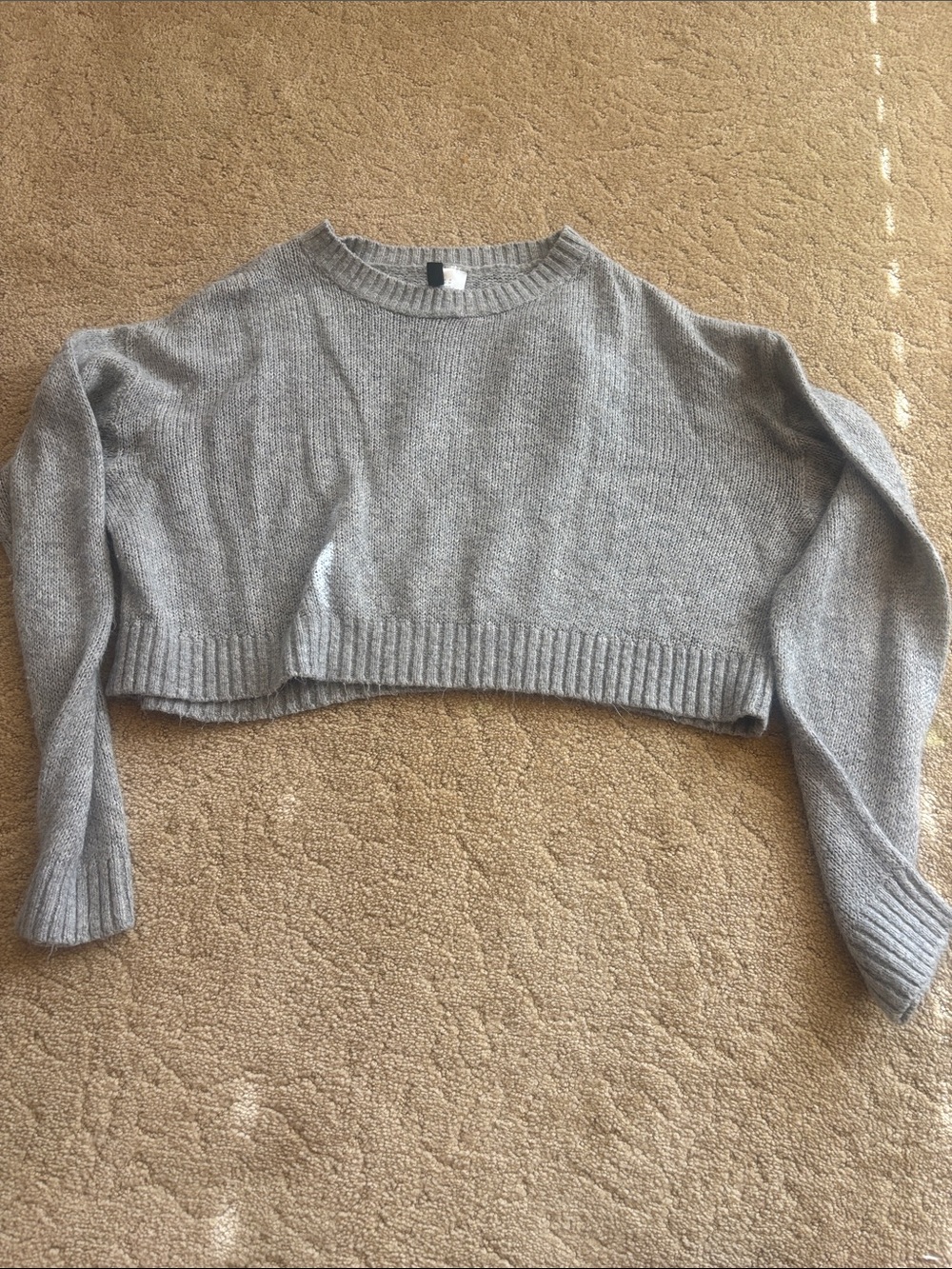 H&M Light Gray Cropped Crewneck Sweater
